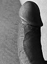 Mooie lul .. ?, foto 3000x4000, 0 reacties, 2 stemmen
