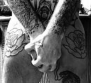 More ink, foto 1701x1563, 0 reacties, 5 stemmen