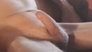 My Stiff Dick, film 00:00:00, 6 reacties, 15 stemmen