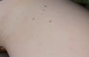 Na het sausen van de wand, film 00:00:23, 10 reacties, 68 stemmen