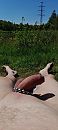 Naakt., foto 1800x4000, 12 reacties, 29 stemmen