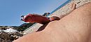 Naaktstrand, foto 2000x934, 35 reacties, 75 stemmen