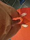 Nat, foto 3000x4000, 5 reacties, 16 stemmen