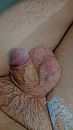 Natte lul, foto 2249x4000, 0 reacties, 4 stemmen