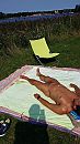 Naturist, foto 2250x4000, 6 reacties, 21 stemmen