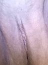 Net weer geschoren, foto 1224x1632, 16 reacties, 39 stemmen
