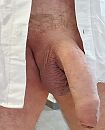 Netjes in het wit, foto 2120x2609, 9 reacties, 14 stemmen