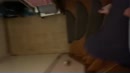 Niet alleen thuis, film 00:00:18, 1 reacties, 6 stemmen