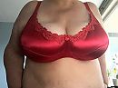 Nieuwe bh, foto 4000x3000, 13 reacties, 35 stemmen