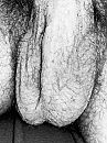 Nog ballen liefhebbers hier?, foto 2801x3734, 4 reacties, 6 stemmen