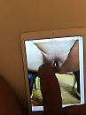 Nr 3, foto 3000x4000, 1 reacties, 2 stemmen