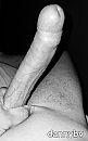 O.D.O.L, foto 2385x3810, 4 reacties, 7 stemmen