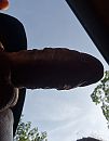 Ochtend zon, foto 1808x2313, 6 reacties, 13 stemmen