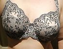 Oeps., foto 1456x1124, 13 reacties, 43 stemmen