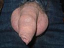 Oeps....., foto 2656x1992, 6 reacties, 9 stemmen