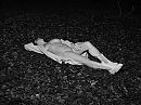 Oh darkness,, foto 4000x3000, 8 reacties, 69 stemmen