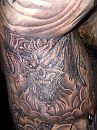 Oksel, foto 1536x2048, 6 reacties, 5 stemmen