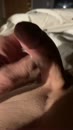 Omdat het lekker is, film 00:00:20, 5 reacties, 21 stemmen