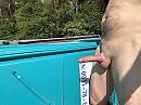 Omgevallen dixie, foto 4000x3000, 3 reacties, 9 stemmen