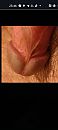 Ondersteboven, foto 1080x2400, 0 reacties, 4 stemmen
