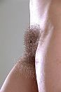 Ook, foto 682x1012, 31 reacties, 69 stemmen