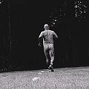 Op zoek naar de bal, foto 1920x1920, 0 reacties, 4 stemmen