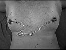 Ouch, foto 1170x896, 10 reacties, 42 stemmen