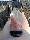 Outdoor pumping, foto 3000x4000, 6 reacties, 19 stemmen