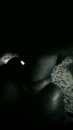 POV , er tegen aan !!!, film 00:00:07, 2 reacties, 30 stemmen