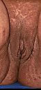 P, foto 1854x4000, 8 reacties, 32 stemmen