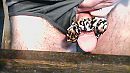 Panter ..., foto 640x360, 0 reacties, 1 stemmen