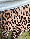 Panter kont, foto 1146x1500, 2 reacties, 21 stemmen