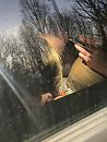 Parking klant, foto 1146x1516, 13 reacties, 106 stemmen