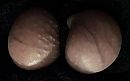 Pasen en eieren, 1+1=2, foto 1801x1125, 0 reacties, 5 stemmen
