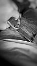 Peek a boo, foto 2160x3840, 3 reacties, 4 stemmen