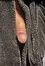 Peeping Tom, foto 2208x3228, 0 reacties, 10 stemmen
