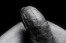 Penis-art in zwartwit, foto 1500x1000, 0 reacties, 5 stemmen