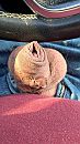 Pfffff warm in de auto, foto 2252x4000, 1 reacties, 6 stemmen