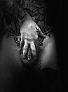 Pierced, foto 2316x3088, 0 reacties, 4 stemmen