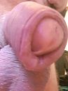 Pik., foto 2208x2944, 2 reacties, 5 stemmen