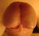 Pik, foto 554x516, 4 reacties, 7 stemmen
