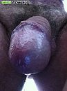 Pik, foto 480x640, 1 reacties, 5 stemmen