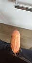 Pik, foto 1320x2560, 0 reacties, 6 stemmen