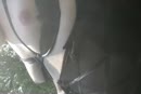 Plughoer, film 00:00:16, 4 reacties, 20 stemmen