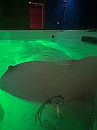 Privesauna, foto 3000x4000, 13 reacties, 104 stemmen