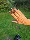 Pussy haar nagels, foto 1512x2016, 5 reacties, 26 stemmen