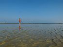 Quend plage (F), foto 800x600, 2 reacties, 8 stemmen
