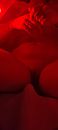 Red lights onder water, foto 1801x4000, 2 reacties, 34 stemmen