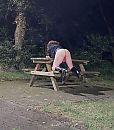 Reek, foto 1784x2027, 0 reacties, 4 stemmen