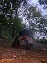 Reek, foto 3000x4000, 0 reacties, 4 stemmen